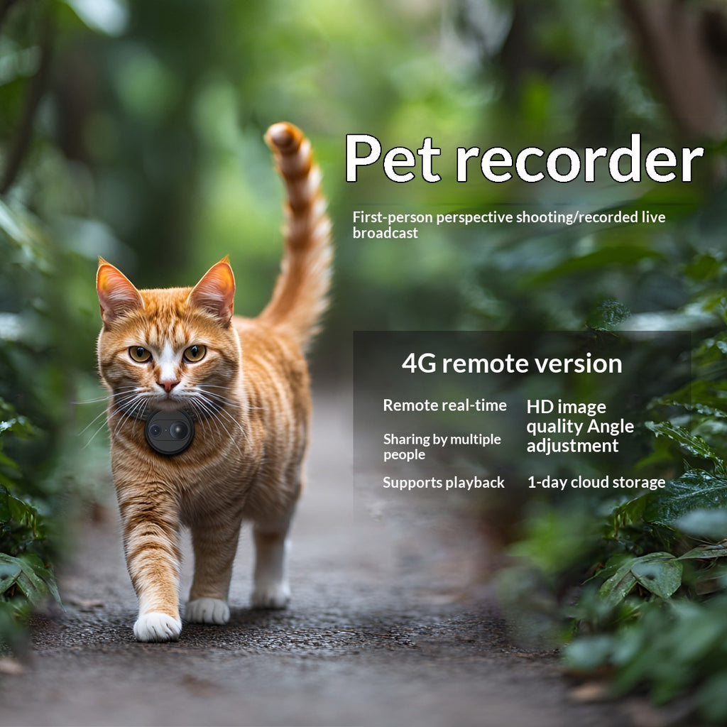 Pet Collar/Harness with 4G Camera, See Their World