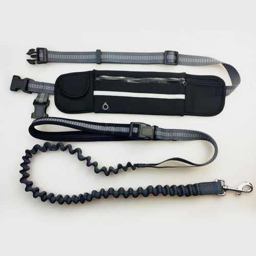 Hands-Free Dog Leash, Ideal for Running