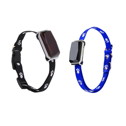 GPS Pet Collar, Secure Real-Time Location