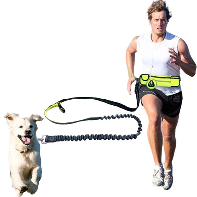 Hands-Free Dog Leash, Ideal for Running