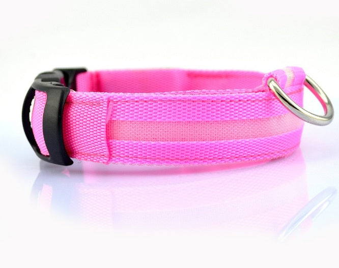 Safety Dog Led Collar