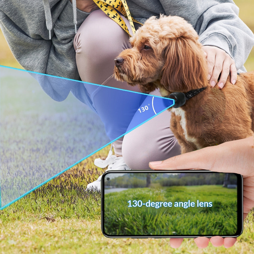 Pet Collar/Harness with 4G Camera, See Their World