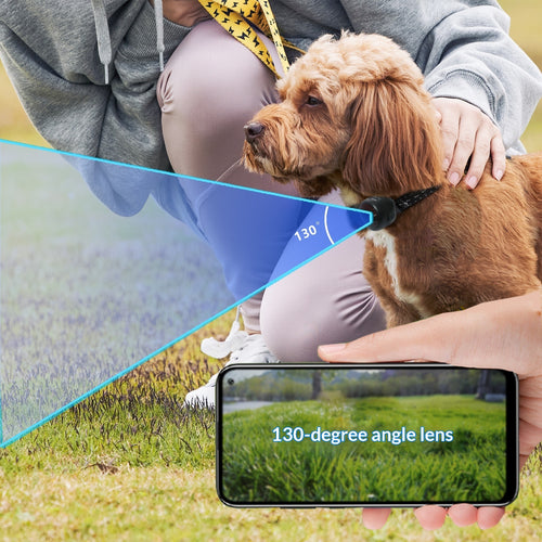 Pet Collar/Harness with 4G Camera, See Their World