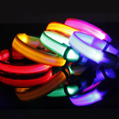 Safety Dog Led Collar