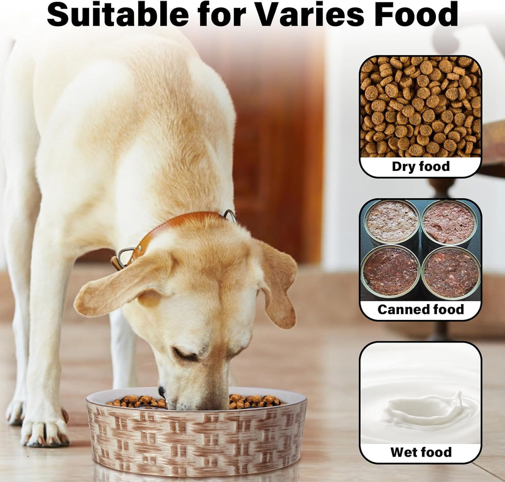 Slow Feeder Pet Bowl, Anti-Choking and Non-Slip
