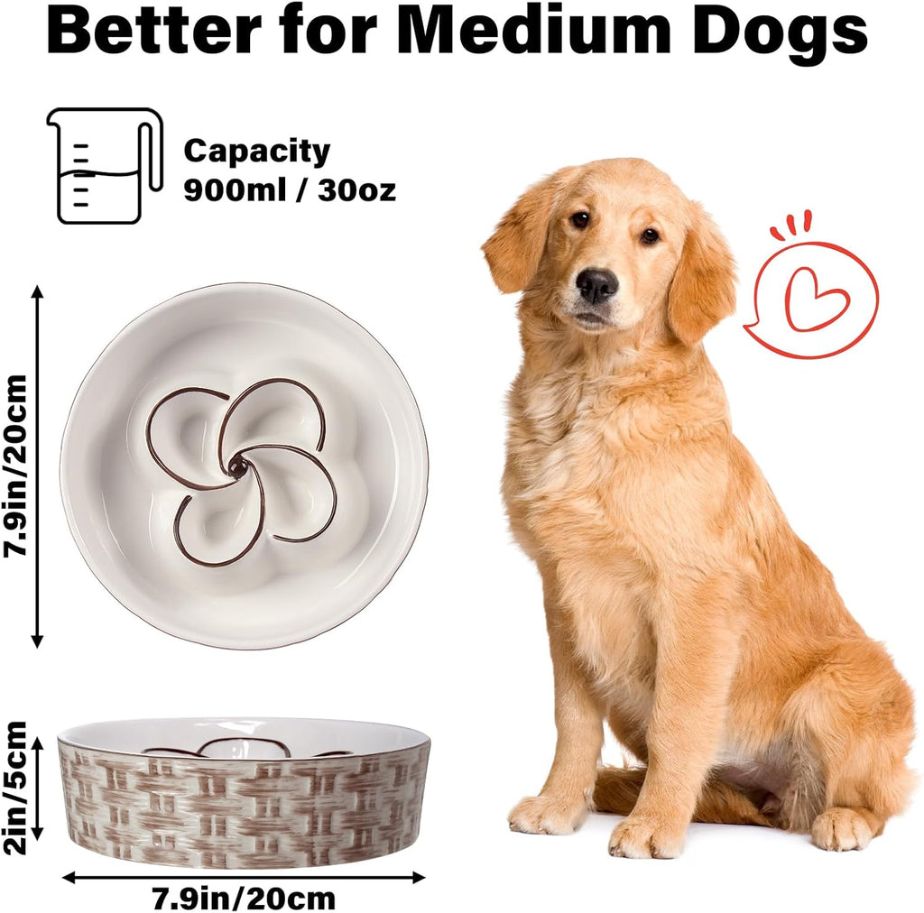 Slow Feeder Pet Bowl, Anti-Choking and Non-Slip