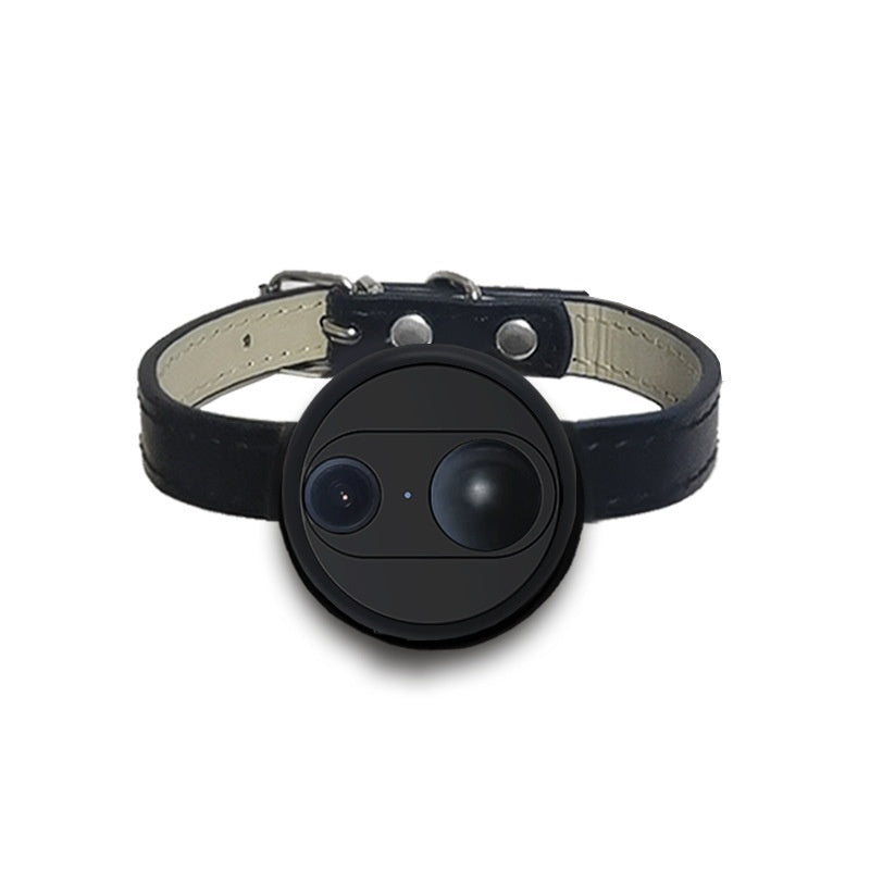 Pet Collar/Harness with 4G Camera, See Their World