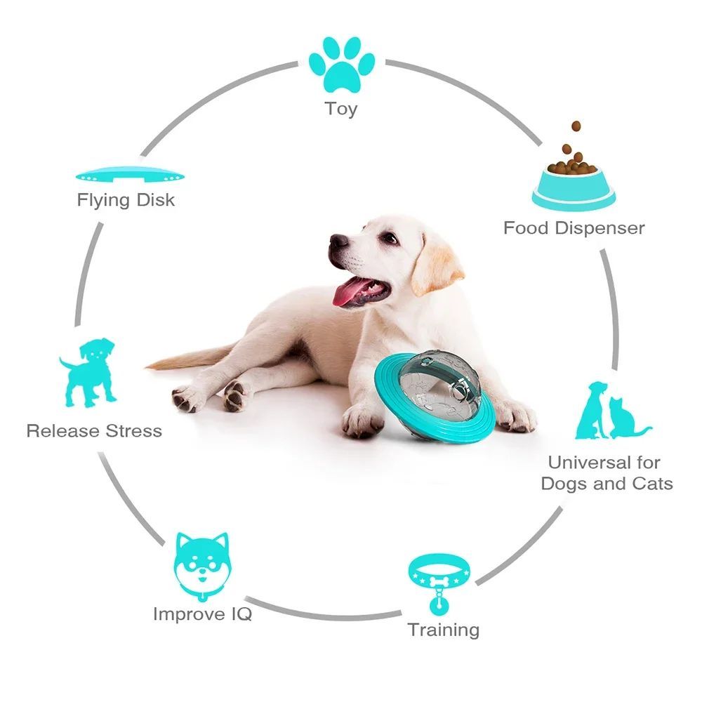 Toy Reward Dispenser, Fun and Learning