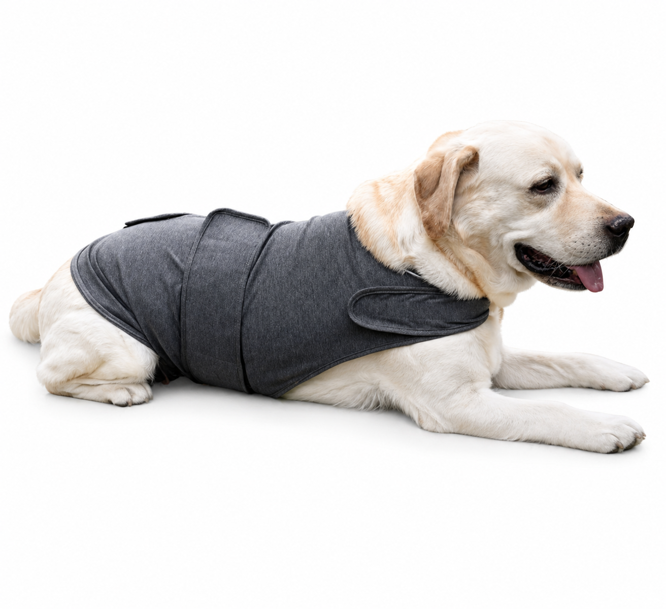 Calming Dog Vest – Ideal for Thunderstorms and Anxiety