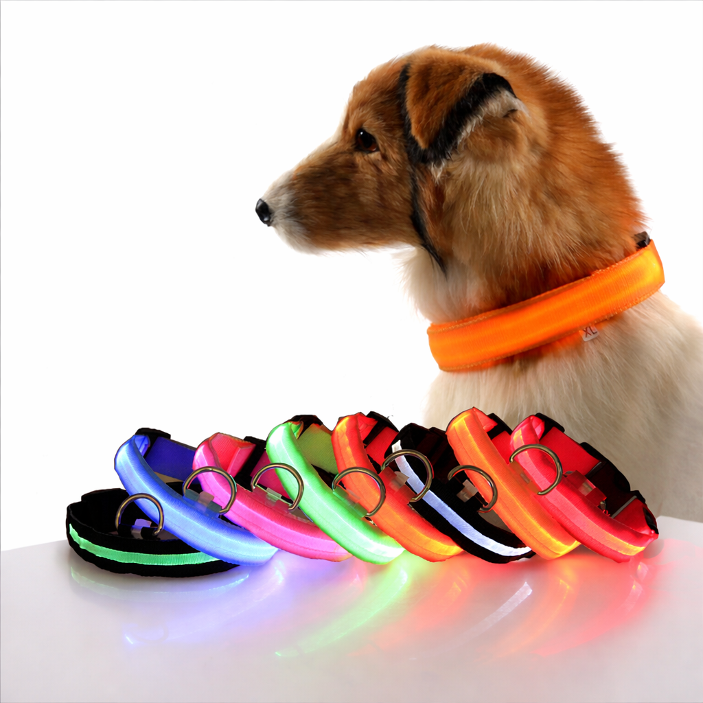 Safety Dog Led Collar