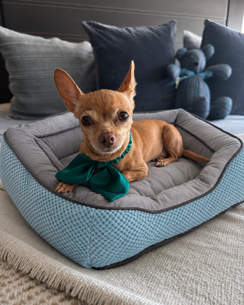 Luxury Anti-Stress Dog Bed