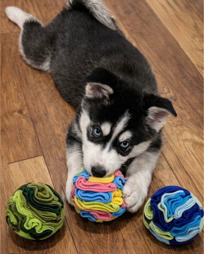 Scent Ball for Dogs, Stimulates the Mind and Relaxes