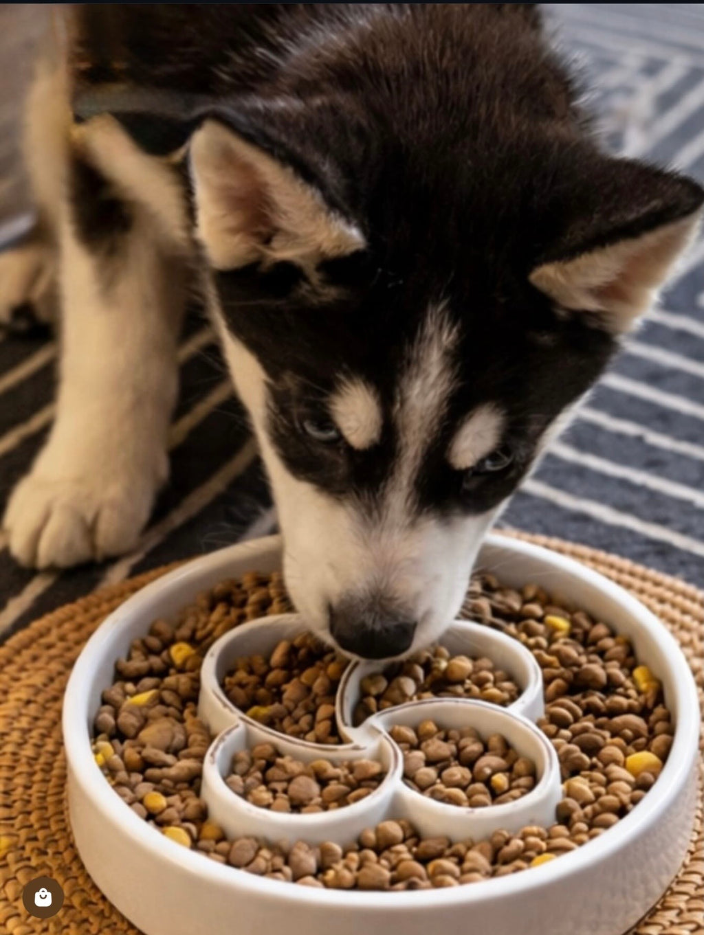 Slow Feeder Pet Bowl, Anti-Choking and Non-Slip