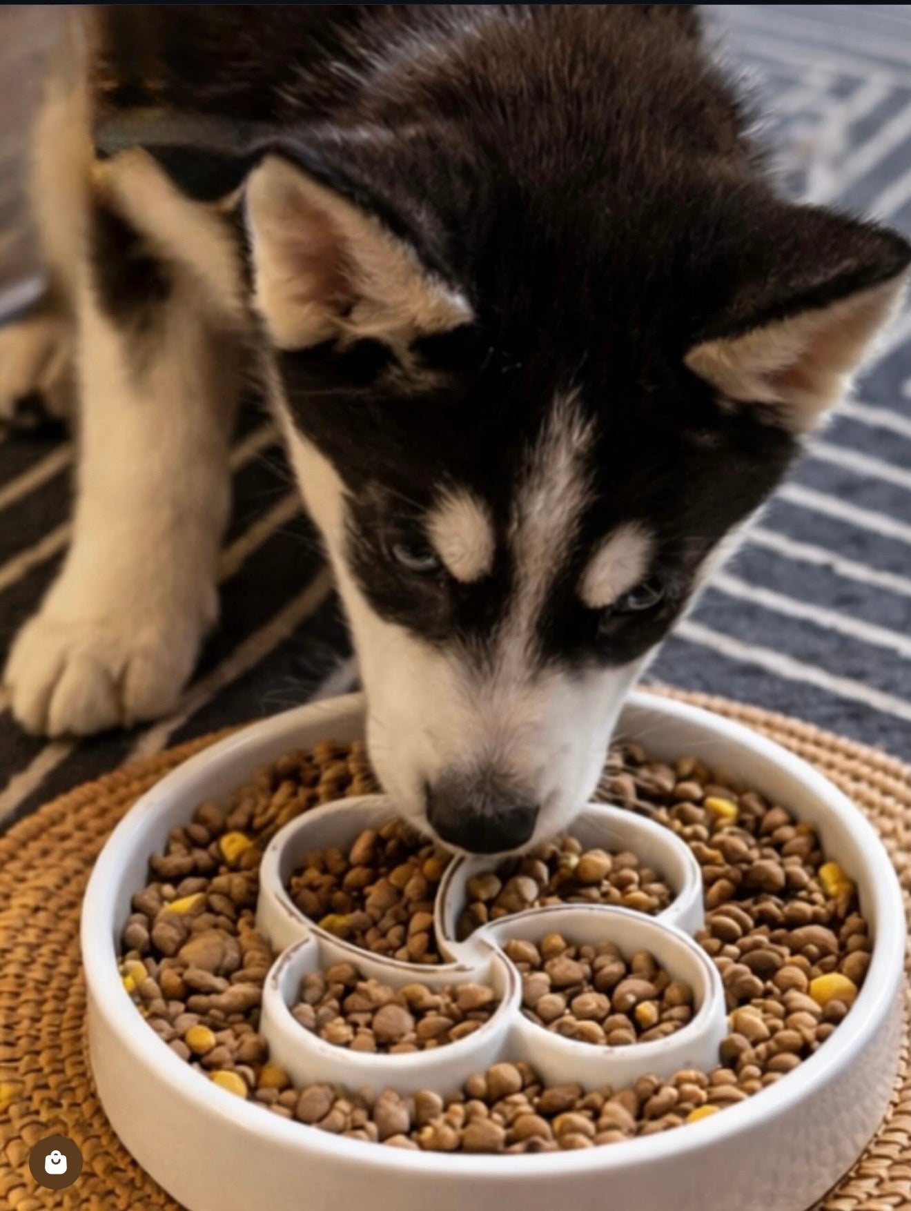 Slow Feeder Pet Bowl, Anti-Choking and Non-Slip