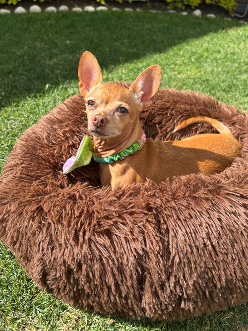 Anti-stress Donut Pet Bed, Hugging Feel
