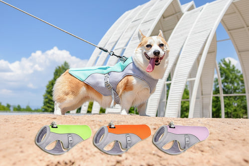 Cooling Vest for Dogs, Sun Protection and Breathable