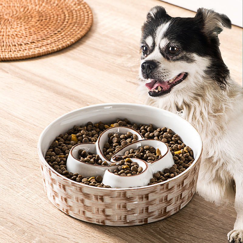 Slow Feeder Pet Bowl, Anti-Choking and Non-Slip