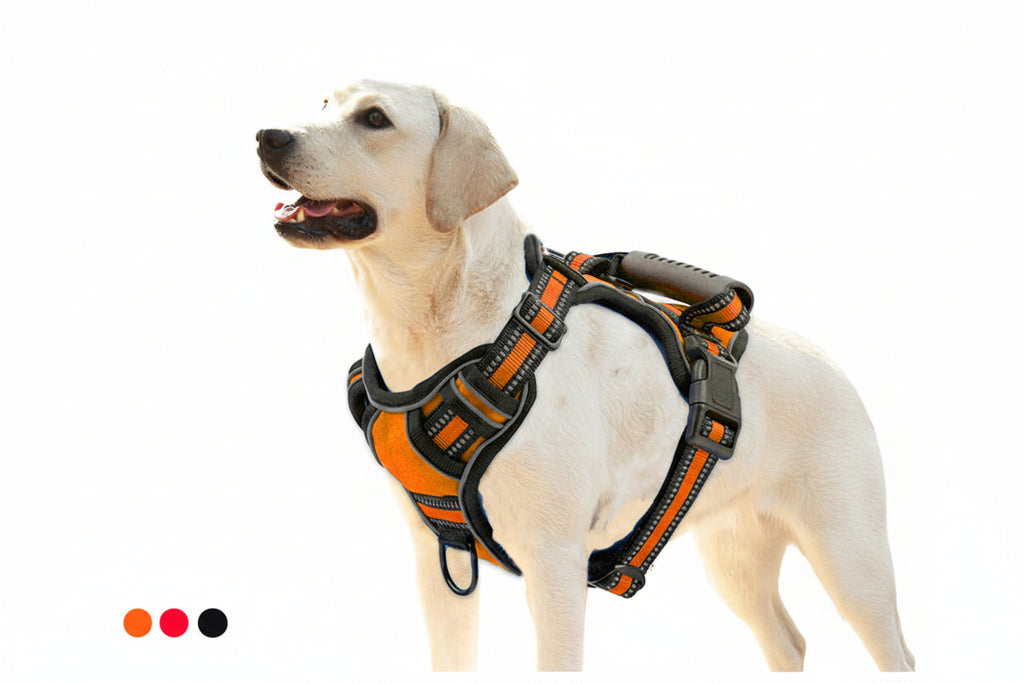 No Pull Reflective Dog Harness Comfortable Control for Happy Walks