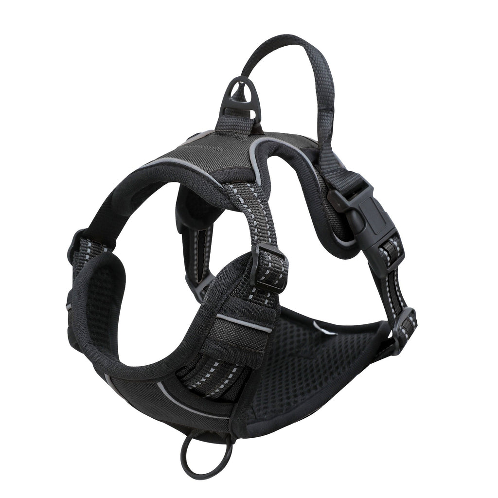 Pet Collar/Harness with 4G Camera, See Their World