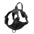 Pet Collar/Harness with 4G Camera, See Their World