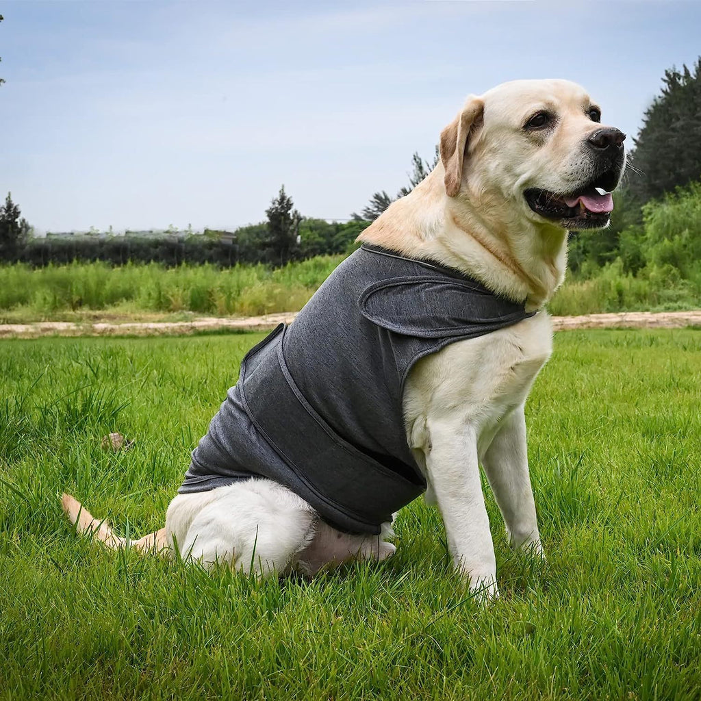 Chaleco Calmante para Perros – Ideal para Truenos y Ansiedad