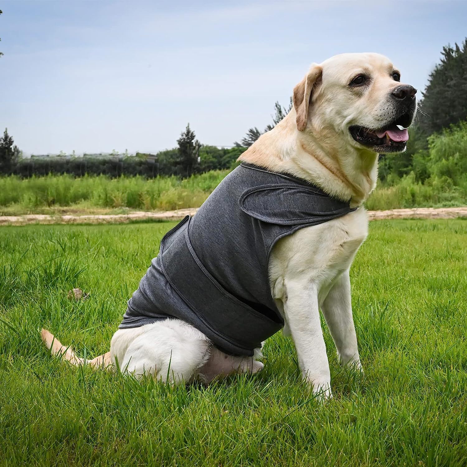 Calming Dog Vest – Ideal for Thunderstorms and Anxiety