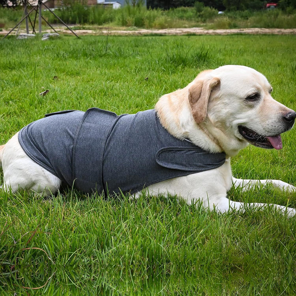 Chaleco Calmante para Perros – Ideal para Truenos y Ansiedad