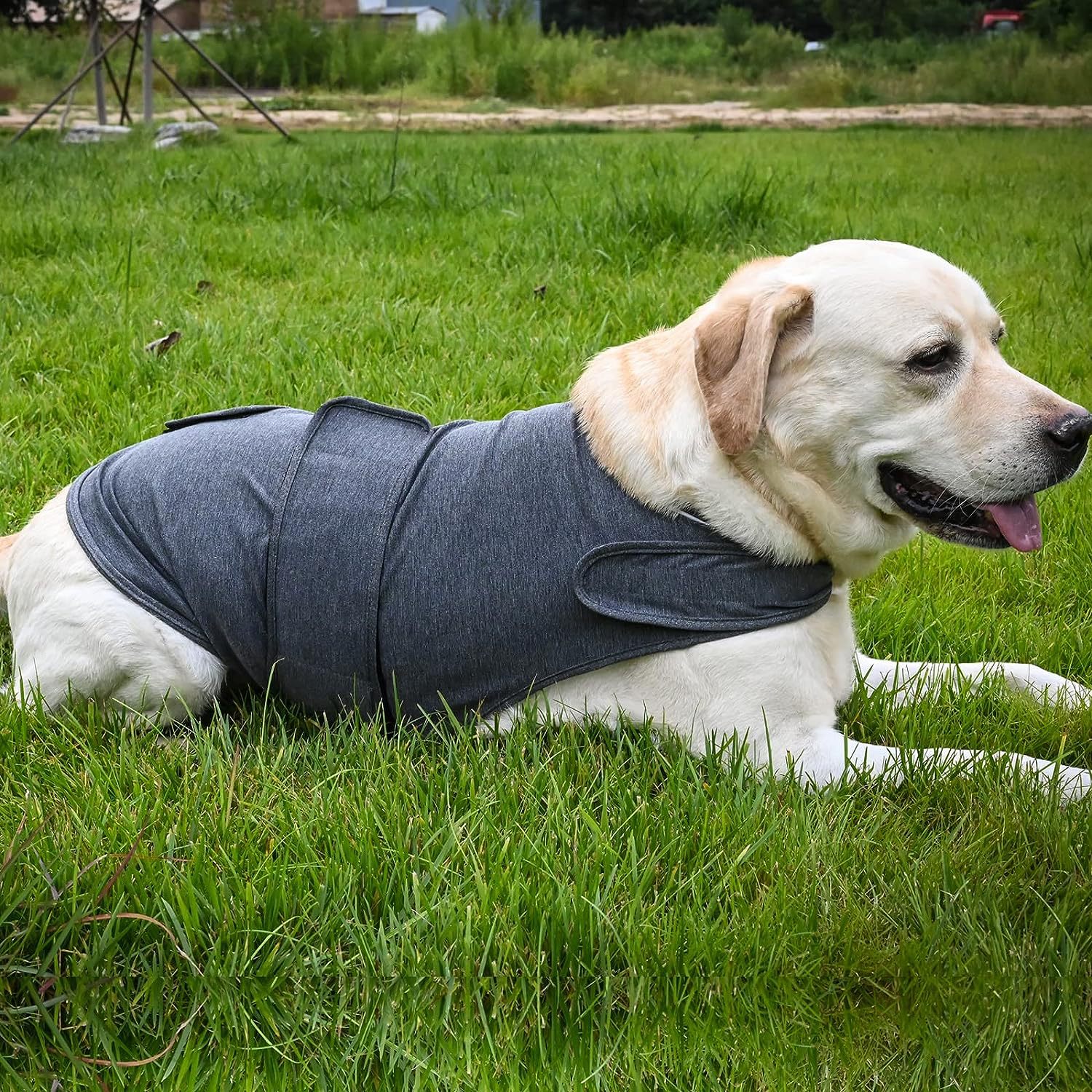 Calming Dog Vest – Ideal for Thunderstorms and Anxiety